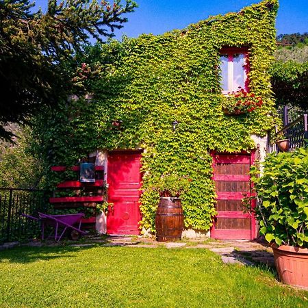 Il Poggio Di Maro' Villa Badalucco Exterior photo